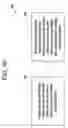 Fig. 09 - Modularly constructed rotorblade and method for construction