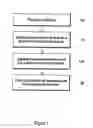 Fig. 02 - Dispersed growth of nanotubes on a substrate