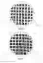 Fig. 09 - Dispersed growth of nanotubes on a substrate