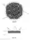 Fig. 10 - Dispersed growth of nanotubes on a substrate