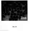 Fig. 08 - Nano-sized particles, processes of making, compositions and uses thereof