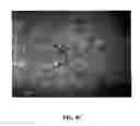 Fig. 41 - Nano-sized particles, processes of making, compositions and uses thereof