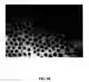Fig. 43 - Nano-sized particles, processes of making, compositions and uses thereof