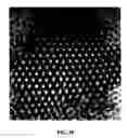 Fig. 44 - Nano-sized particles, processes of making, compositions and uses thereof