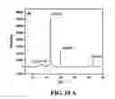 Fig. 46 - Nano-sized particles, processes of making, compositions and uses thereof