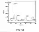 Fig. 47 - Nano-sized particles, processes of making, compositions and uses thereof