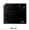 Fig. 51 - Nano-sized particles, processes of making, compositions and uses thereof