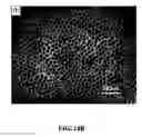 Fig. 55 - Nano-sized particles, processes of making, compositions and uses thereof