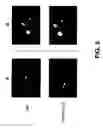 Fig. 09 - Methods for imaging soluble A-beta