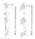 Fig. 02 - Light Sensitive Compounds for Instant Determination of Organ Function