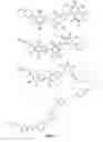 Fig. 18 - Cell targeting conjugates
