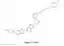 Fig. 19 - Cell targeting conjugates