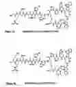 Fig. 10 - Targeting compositions and preparation therof