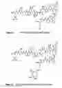 Fig. 12 - Targeting compositions and preparation therof
