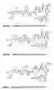 Fig. 13 - Targeting compositions and preparation therof