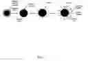 Fig. 06 - Targeted nanoparticles for magnetic resonance imaging