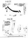 Fig. 44 - Method for accelerating the rate of mucociliary clearance
