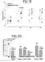 Fig. 45 - Method for accelerating the rate of mucociliary clearance