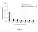 Fig. 13 - Protein with activity of hydrolyzing dextran, starch, mutan, inulin and levan, gene encoding the same, cell expressing the same, and production method thereof