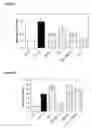 Fig. 04 - Synthesis of a nitroxide antioxidant and methods of use in cosmetic and dermatological compositions