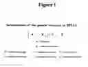 Fig. 02 - Use of biocompatible polymers for the preparation of a composition or a medical device