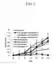 Fig. 06 - Compositions and methods for cancer immunotherapy