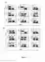 Fig. 03 - Non-lethal conditioning methods for conditioning a recipient for bone marrow transplantation