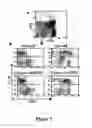Fig. 08 - Non-lethal conditioning methods for conditioning a recipient for bone marrow transplantation