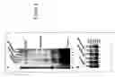 Fig. 05 - Nonsense suppression and genetic codon alteration by targeted modification