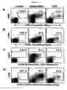 Fig. 02 - Methods for isolating t cells and uses thereof
