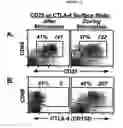 Fig. 04 - Methods for isolating t cells and uses thereof