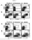 Fig. 05 - Methods for isolating t cells and uses thereof