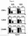 Fig. 09 - Methods for isolating t cells and uses thereof