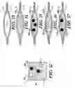 Fig. 08 - Composition and procedure for tissue creation, regeneration and repair by a cell-bearing biological implant enriched with platelet concentrate and supplements