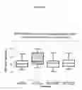 Fig. 03 - Enzymes for reduced immunological stress