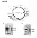 Fig. 09 - Method for linking sequences of interest