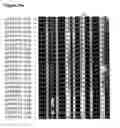 Fig. 22 - Method for linking sequences of interest