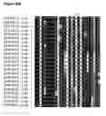 Fig. 34 - Method for linking sequences of interest