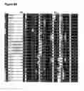 Fig. 35 - Method for linking sequences of interest