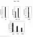 Fig. 14 - Bivalent IgY antibody constructs for diagnostic and therapeutic applications