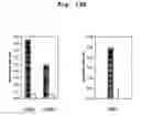 Fig. 15 - Bivalent IgY antibody constructs for diagnostic and therapeutic applications