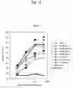 Fig. 02 - Anti-A33 antibody