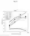 Fig. 06 - Anti-A33 antibody