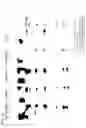 Fig. 10 - Anti-A33 antibody
