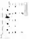 Fig. 11 - Anti-A33 antibody