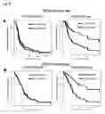 Fig. 07 - Method for Diagnosing, Prognosing and Treating Glioma