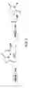Fig. 08 - Polysaccharide-staphylococcal surface adhesin carrier protein conjugates for immunization against nosocomial infections