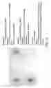 Fig. 14 - Polysaccharide-staphylococcal surface adhesin carrier protein conjugates for immunization against nosocomial infections