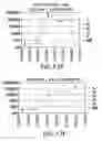 Fig. 26 - Polysaccharide-staphylococcal surface adhesin carrier protein conjugates for immunization against nosocomial infections
