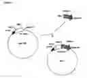 Fig. 02 - Chimeric proteins that induce effects directed against viruses